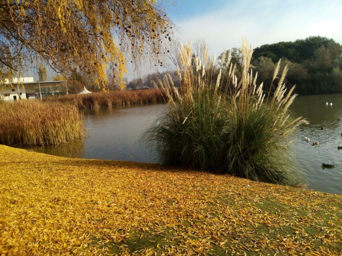 La Laguna ลากูนา เด ดูเอโร ภายนอก รูปภาพ